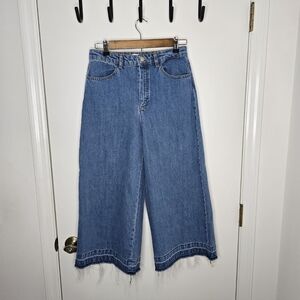 Zara Blue Flare Wide-Leg Jeans